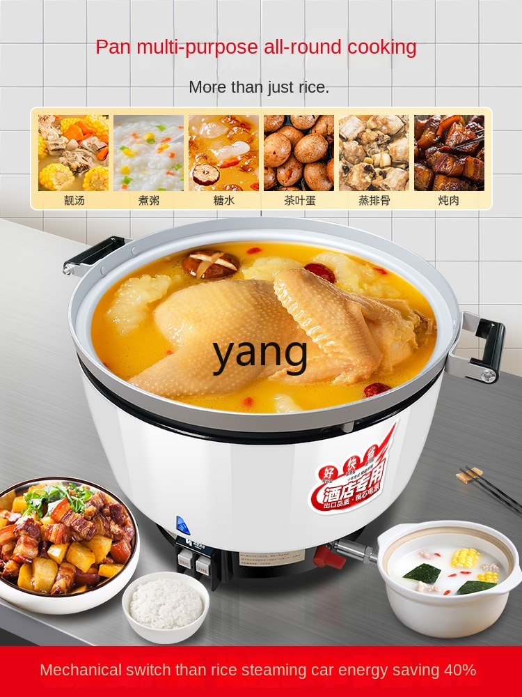 lcx Ticari Gazlı Büyük Kapasit - Baby Food Stew incelemesi ve fiyatı